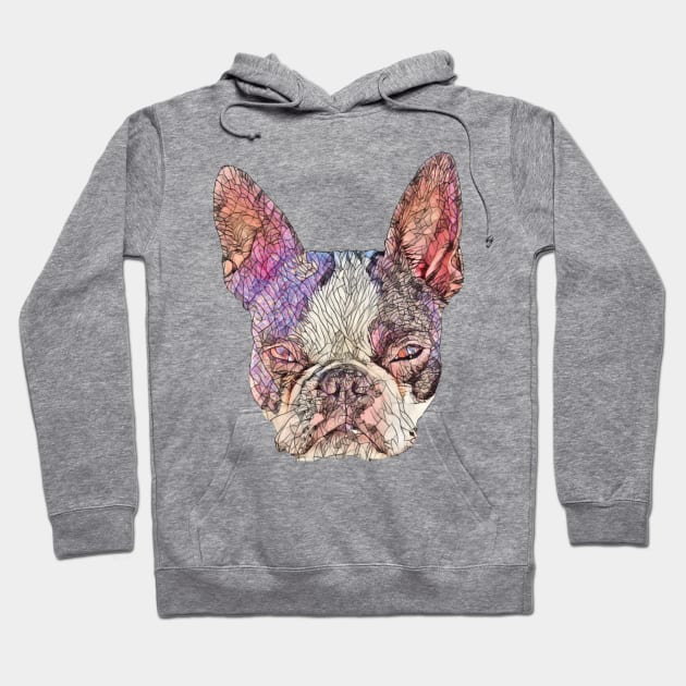 Boston Terrier Hoodie by DoggyStyles